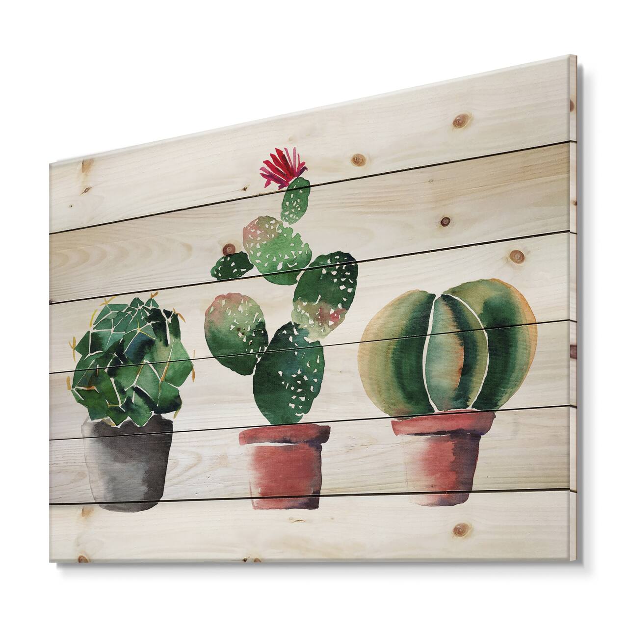 Designart - Three Cactus In Clay Pots - Botanical Print on Natural Pine Wood